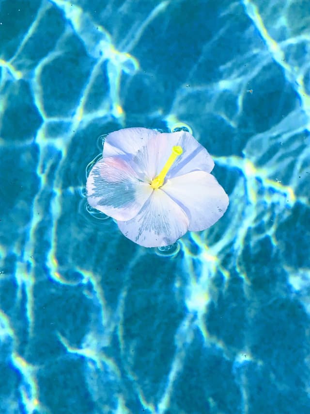 parallax image
